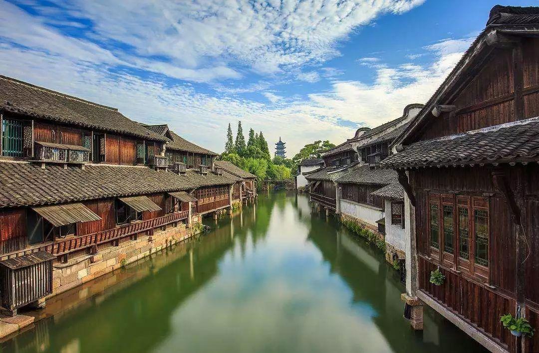 怎么治疗震颤麻痹？游戏画面